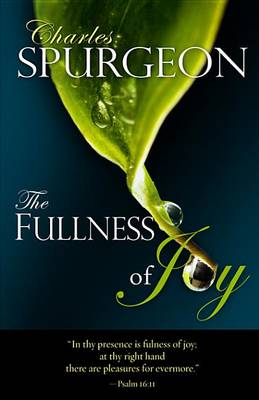 Book cover for The Fullness of Joy