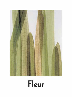 Book cover for Fleur