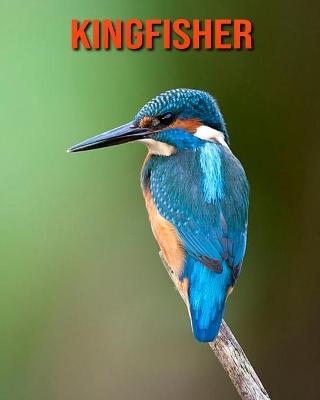 Book cover for Kingfisher