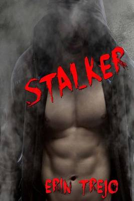 Book cover for Stalker