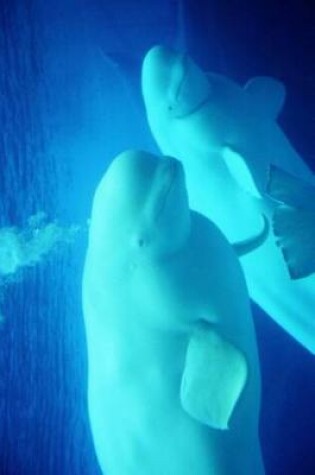 Cover of Beluga Whales - the Gentle Giants Swimming in the Sea Journal