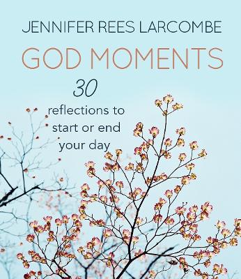 Book cover for God Moments