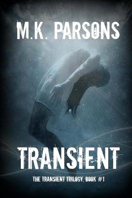 Book cover for Transient
