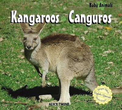 Book cover for Kangaroos / Canguros