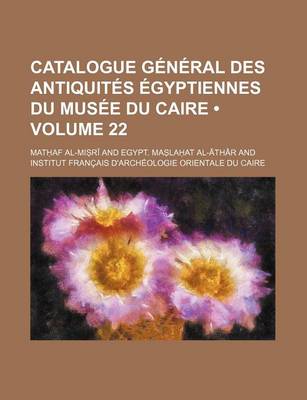 Book cover for Catalogue General Des Antiquites Egyptiennes Du Musee Du Caire (Volume 22)