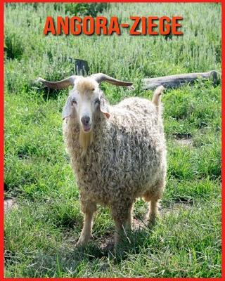 Book cover for Angora-Ziege