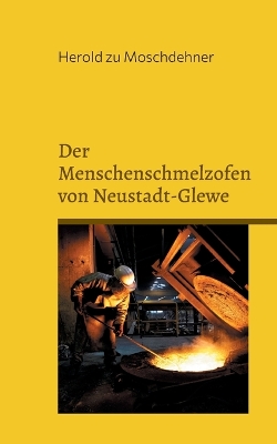 Book cover for Der Menschenschmelzofen von Neustadt-Glewe