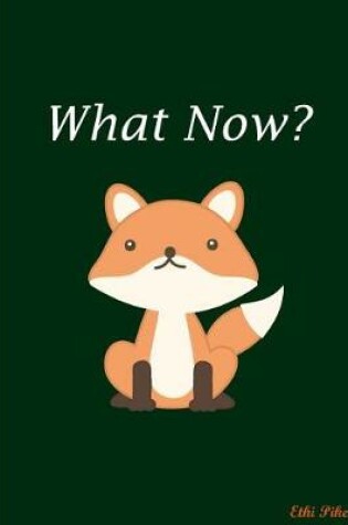 Cover of What Now?