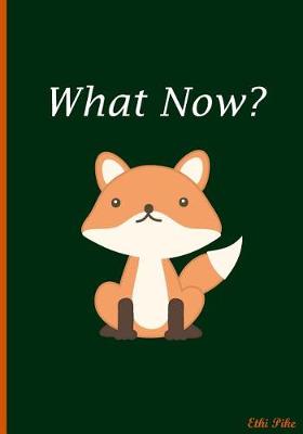 Book cover for What Now?