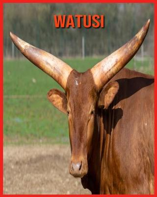 Book cover for Watusi