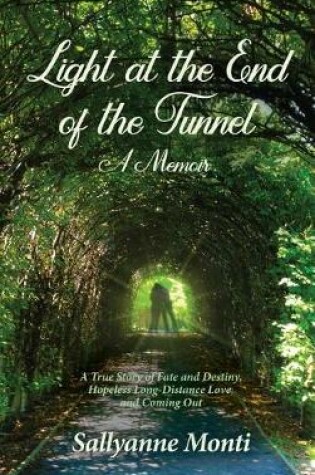 Cover of Light at the End of the Tunnel