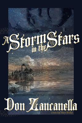 Book cover for A Storm in the Stars