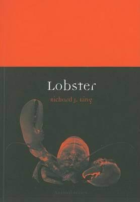 Book cover for Lobster