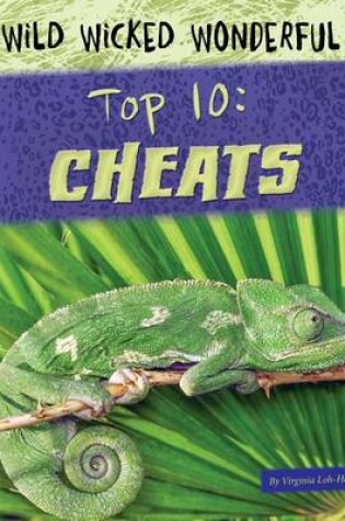 Cover of Top 10: Cheats