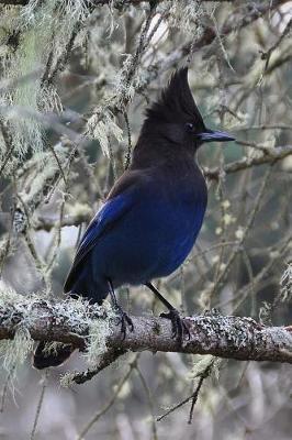 Book cover for Stunning Stellars Jay in a Lichen Covered Tree Journal