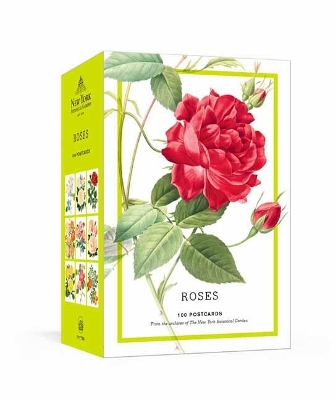 Book cover for Roses