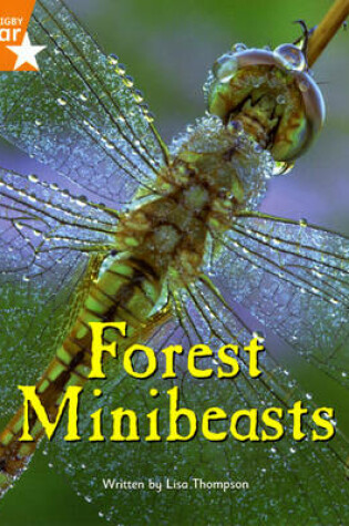 Cover of Fantastic Forest Orange Level Non-Fiction: Forest Minibeasts