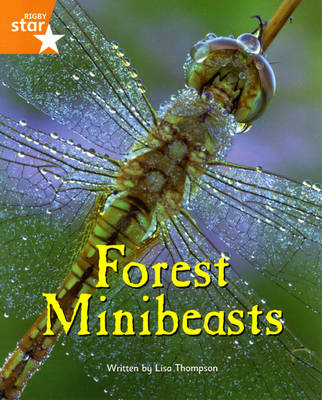 Book cover for Fantastic Forest Orange Level Non-Fiction: Forest Minibeasts