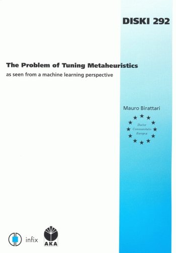 Cover of The Problem of Tuning Metaheuristics