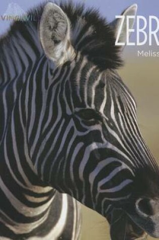 Cover of Zebras