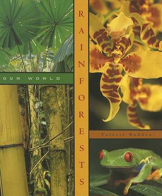 Book cover for Rainforests