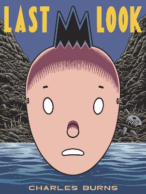 Book cover for Last Look