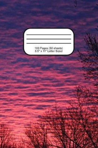 Cover of Pink Purple Sky Narrow Ruled Composition Notebook
