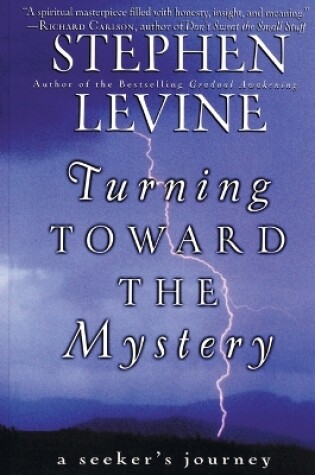 Cover of Turning Towards the Mystery