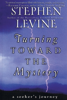 Book cover for Turning Towards the Mystery