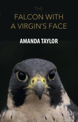 Book cover for The Falcon with a Virgin's Face