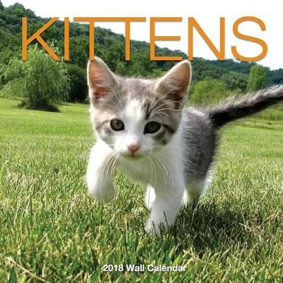 Cover of KITTENS 2018 Wall Calendar