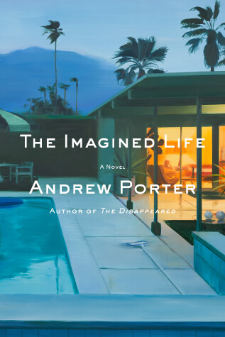 Book cover for The Imagined Life