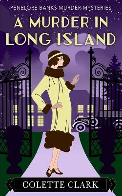 Cover of A Murder in Long Island