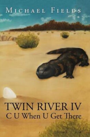 Cover of Twin River IV