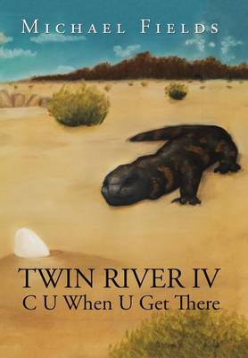 Book cover for Twin River IV