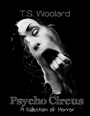 Book cover for Psycho Circus