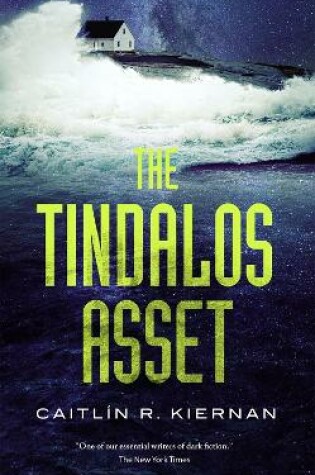 Cover of The Tindalos Asset