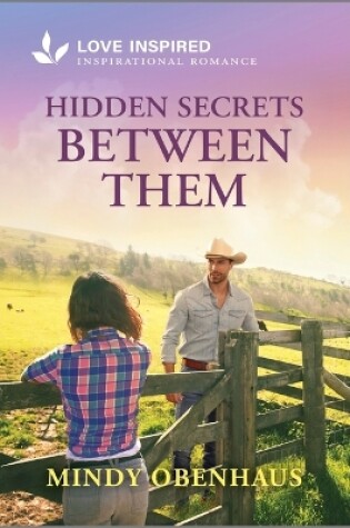 Cover of Hidden Secrets Between Them