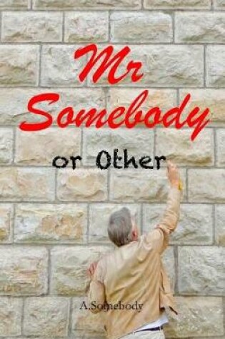 Cover of Mr Somebody or Other