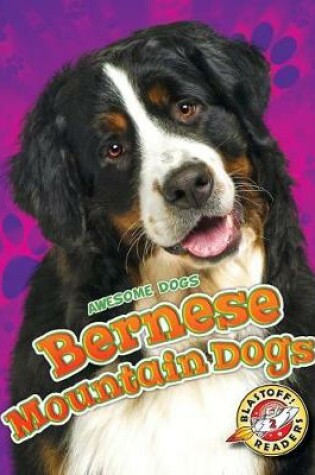 Cover of Bernese Mountain Dogs