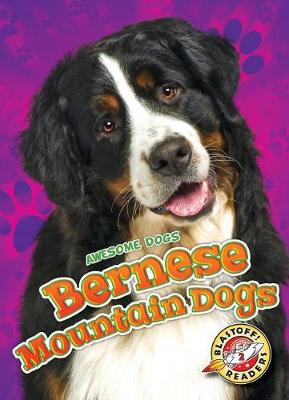 Book cover for Bernese Mountain Dogs