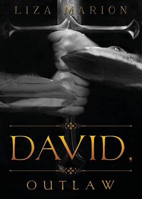 Book cover for David, Outlaw