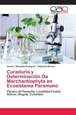 Book cover for Curaduría y Determinación De Marchantiophyta en Ecosistema Paramuno