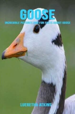 Cover of Goose