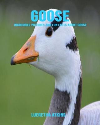 Book cover for Goose