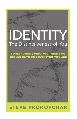 Book cover for Identity