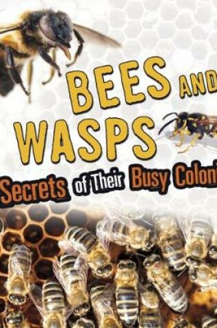 Cover of Bees and Wasps