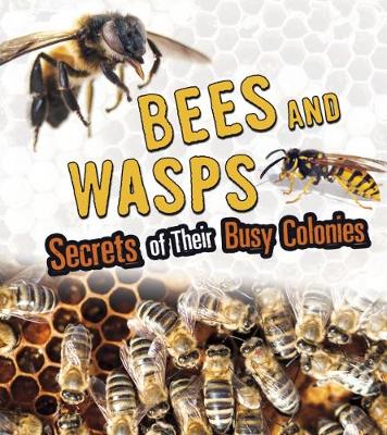 Book cover for Bees and Wasps