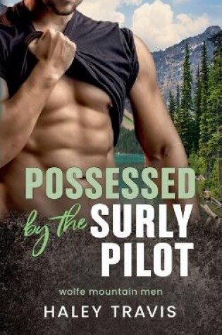 Cover of Possessed by the Surly Pilot