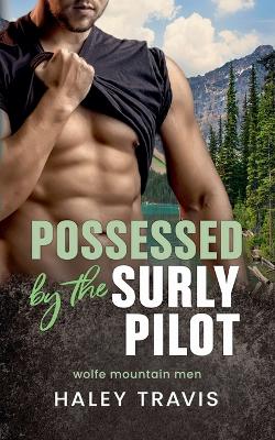 Book cover for Possessed by the Surly Pilot